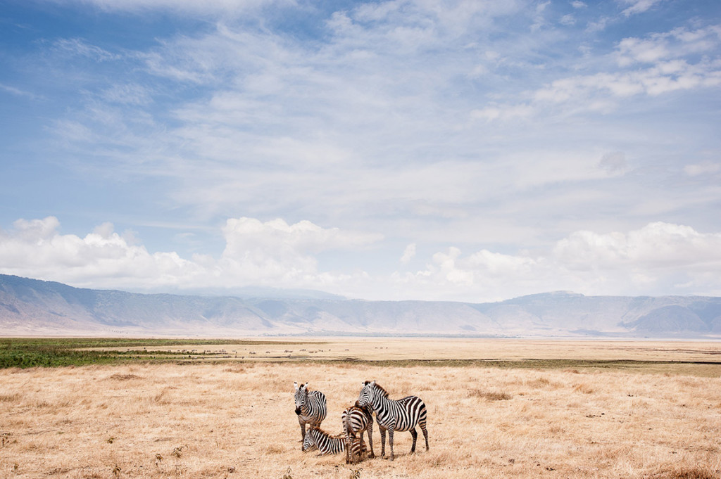 national-geographic-photo-contest-2014 (8)